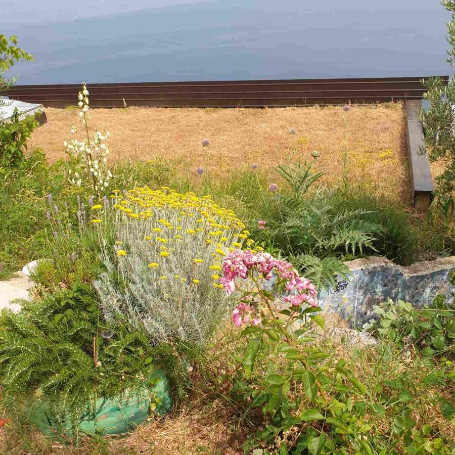 Вилла Mary'S Garden Tulisevica Экстерьер фото