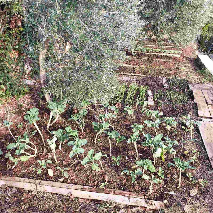 Вилла Mary'S Garden Tulisevica Экстерьер фото