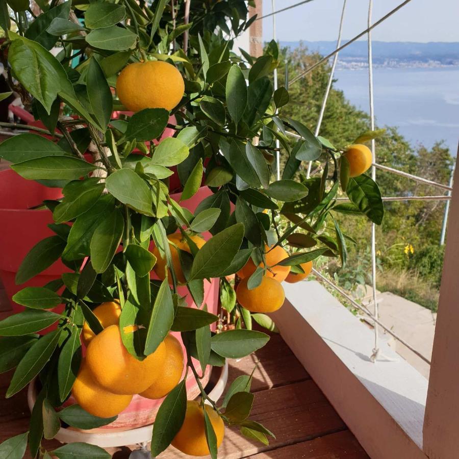 Вилла Mary'S Garden Tulisevica Экстерьер фото
