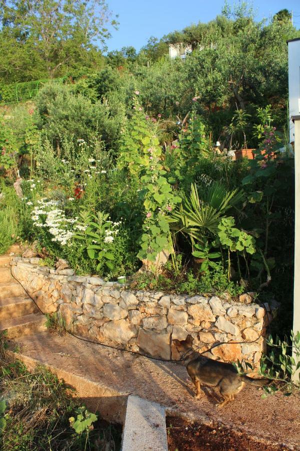 Вилла Mary'S Garden Tulisevica Экстерьер фото